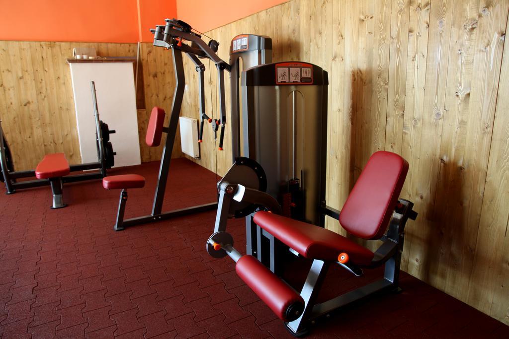 Mlyn Penzion & Wellness Radvaň nad Dunajom Buitenkant foto