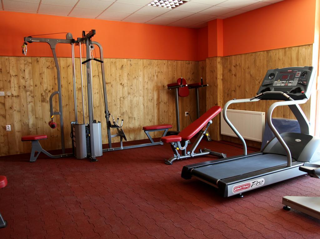 Mlyn Penzion & Wellness Radvaň nad Dunajom Buitenkant foto