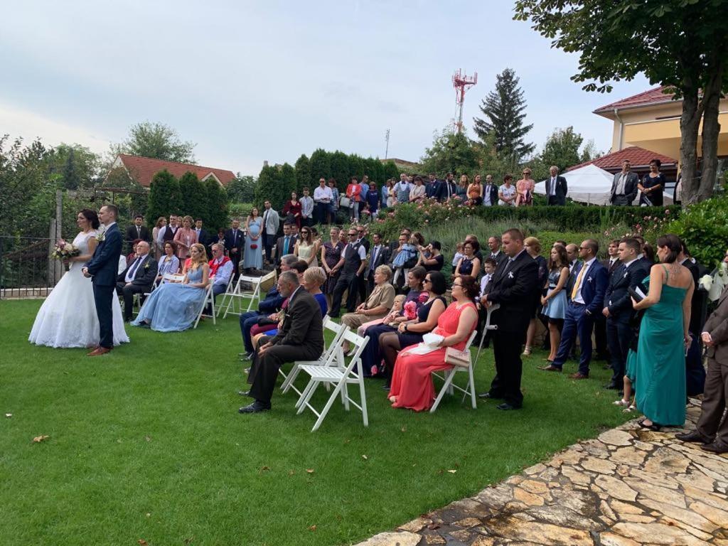 Mlyn Penzion & Wellness Radvaň nad Dunajom Buitenkant foto
